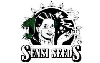 Sensi seeds