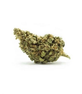 Marihuana de CBD Naros Haze YerbaBuena o marihuana legal es un producto que ha sido sometido a exhaustivos análisis de laboratorio y cuenta con certificado de la Unión Europea. Con niveles de THC muy bajos, inferiores al 0,2% con un efecto muy agradable. Envases de 1, 3 y 5 gramos de flores