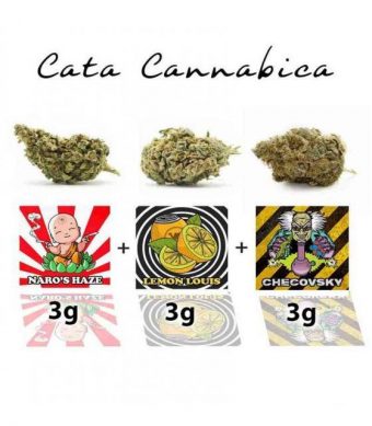 KIT CATA CANNABICA DE CBD YERBABUENA o cannabis legal es un conjunto de las 3 mejores variedades de marihuana legal, la cual ha sido sometido a exhaustivos análisis en laboratorio y cuenta con el certificado de la Unión Europea. Contiene niveles de THC inferiores al 0,2% lo que hace que sea completamente legal en España.