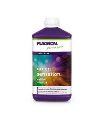 Estimulador de la floración para el rendimiento máximo y el mejor sabor Green Sensation es un potente estimulador de la floración que garantiza altos rendimientos.