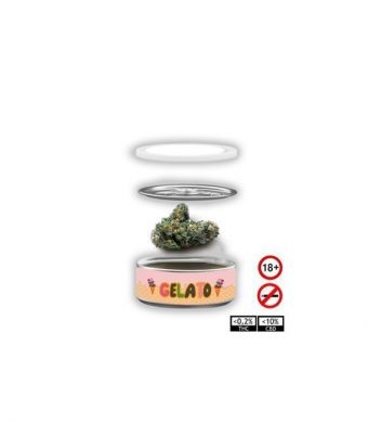 Marihuana de CBD Gelato hemp for life o marihuana legal es un producto que ha sido sometido a exhaustivos análisis de laboratorio y cuenta con certificado de la Unión Europea. Con niveles de THC muy bajos, inferiores al 0,2% con un efecto muy agradable. Envases de 3.5 gramos de flores