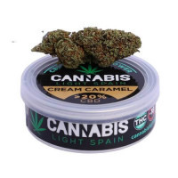 La marihuana CBD Cream Caramel es una variedad pensada para los amantes de las índicas, híbrido resultado entre la Cream Caramel y un esqueje de la Diesel rica en CBD