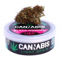 Esta variedad de cannabis es bien conocida por ser una de las cepas híbridas que combina 4 vías fantásticas para la encarnación de una hierba con tendencia índica,